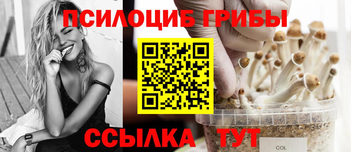 Галлюциногенные грибы GOLDEN TEACHER  Вход с VPN  Шадринск  Псилоцибиновые грибы мухоморы 